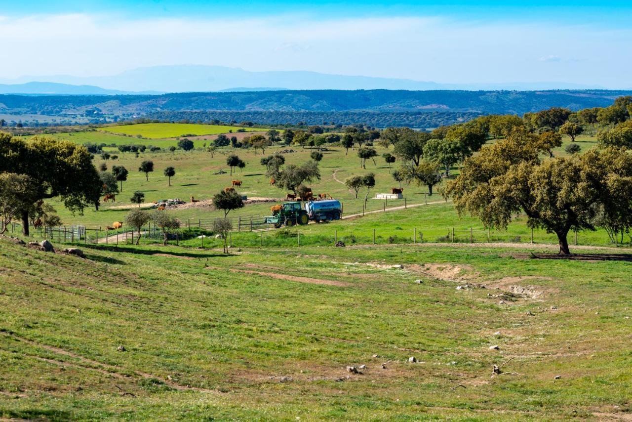 Moradia Gemea 2 Em Herdade Santa Marta Zebreira Zewnętrze zdjęcie